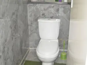 Flat/Apartment to Rent in Avenues