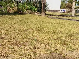 4 Bedroom House to Rent in Belvedere