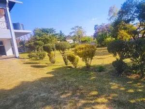 Commercial Property to Rent in Belvedere