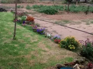 Room to Rent in Waterfalls