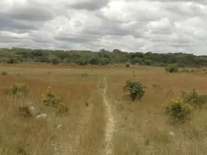 Farm for Sale