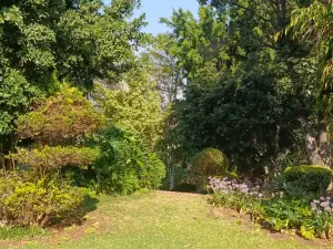 5 Bedroom House to Rent in Helensvale