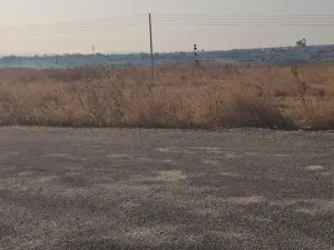 Stand for Sale