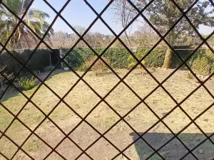 Flat/Apartment to Rent in Mabelreign