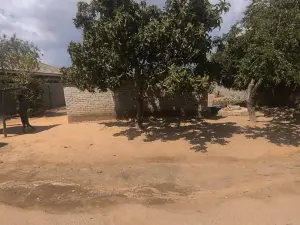 Stand for Sale