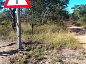 Farm for Sale