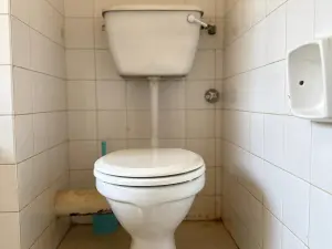 Flat/Apartment to Rent in Greystone Park
