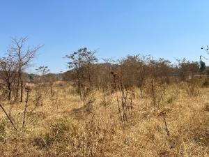 Residential Stand for Sale