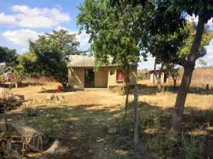 Farm for Sale
