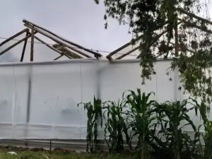 Farm for Sale