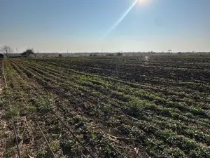 Farm for Sale