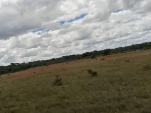 Farm for Sale