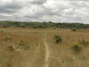 Farm for Sale