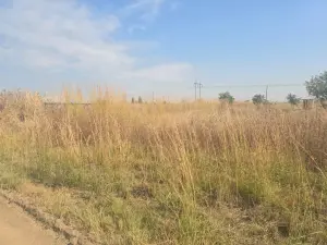 Residential Stand for Sale