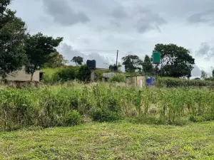 Farm for Sale