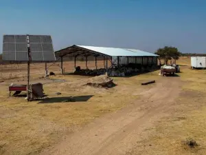 Farm for Sale