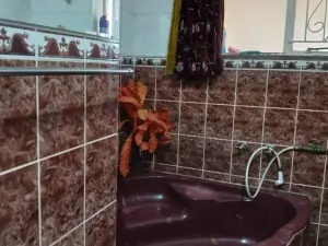 Cottage/Garden Flat to Rent in Avondale West