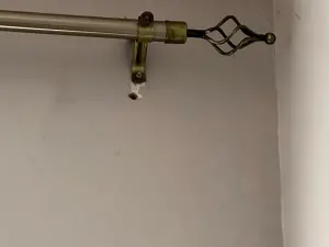 Flat/Apartment to Rent in Avondale