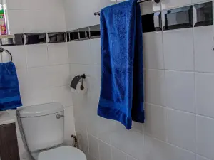 Flat/Apartment to Rent in Avenues