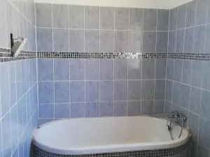 House to Rent in Mount Pleasant Heights