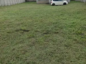 Cottage/Garden Flat to Rent