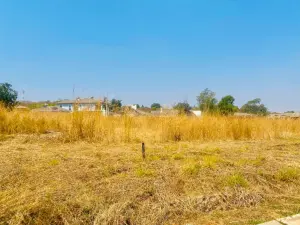 Stand for Sale