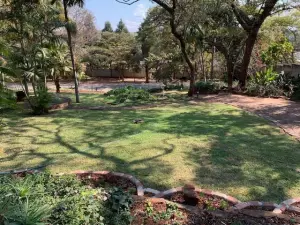4 Bedroom House to Rent in Chisipite
