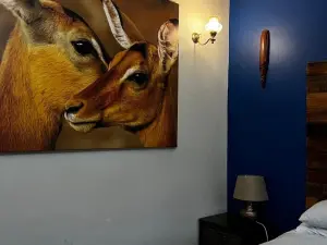4 Bedroom House to Rent in Mount Pleasant