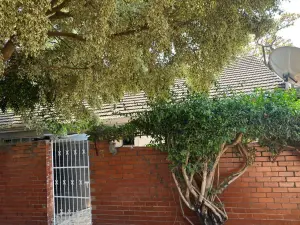 2 Bedroom Cottage/Garden Flat to Rent in Greendale