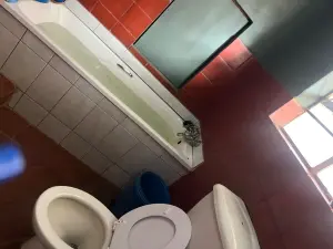 Flat/Apartment to Rent in Avenues