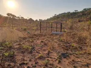 Stand for Sale