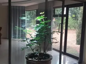 4 Bedroom House to Rent in Mount Pleasant Heights