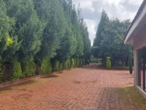 4 Bedroom House to Rent in Mount Pleasant Heights
