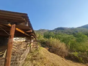 Farm for Sale