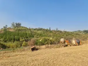 Farm for Sale