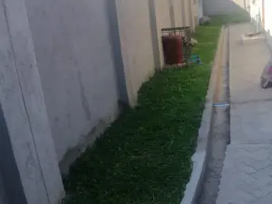 3 Bedroom House to Rent in Zimre Park