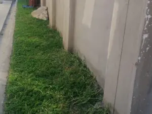 3 Bedroom House to Rent in Zimre Park