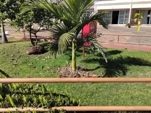Flat/Apartment to Rent
