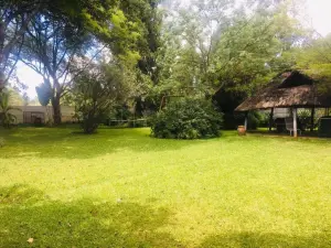 Commercial Property to Rent in Marlborough
