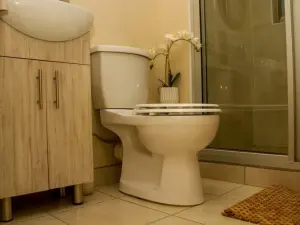 Flat/Apartment to Rent in Aspindale Park