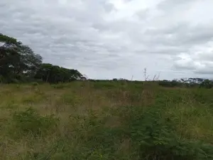 Farm for Sale