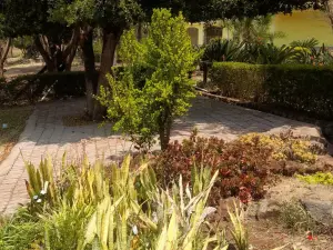 Townhouse/Complex/Cluster to Rent in Borrowdale