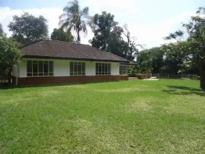 Commercial Property to Rent