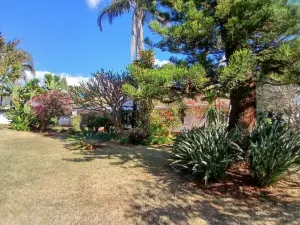 4 Bedroom House to Rent in Alexandra Park