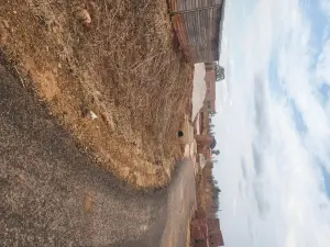 Residential Stand for Sale