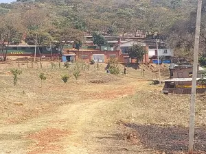 Farm for Sale