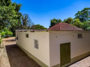 Commercial Property to Rent in Belgravia
