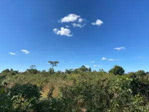 Farm for Sale
