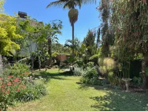 2 Bedroom Cottage/Garden Flat to Rent in Borrowdale