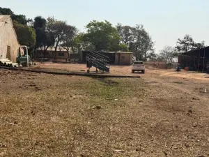 Farm for Sale